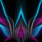 VJ Loops collection vjloop abstract video art